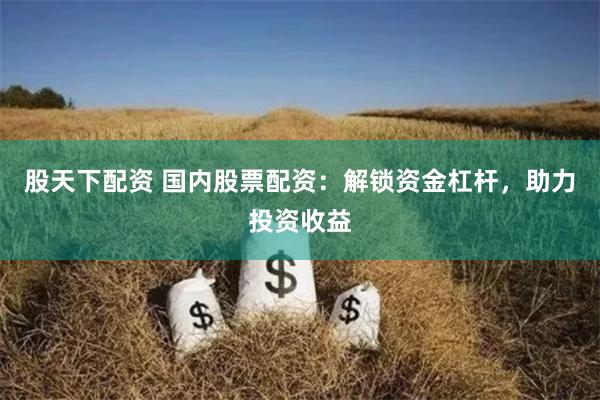 股天下配资 国内股票配资：解锁资金杠杆，助力投资收益