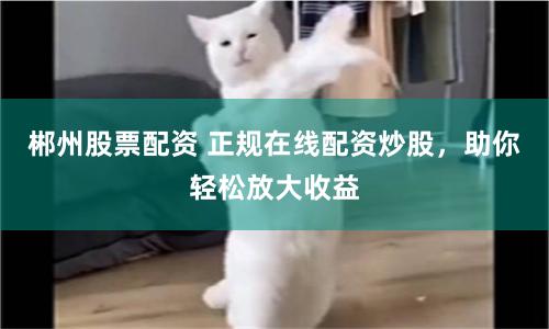 郴州股票配资 正规在线配资炒股，助你轻松放大收益