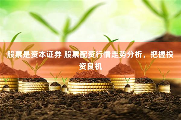 股票是资本证券 股票配资行情走势分析，把握投资良机